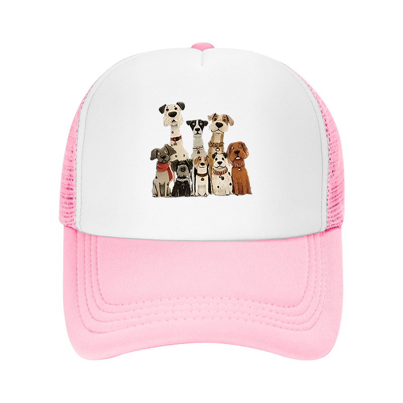 New Summer Streetwear Brand Do - Cap Streetwear Brand 评论和价格