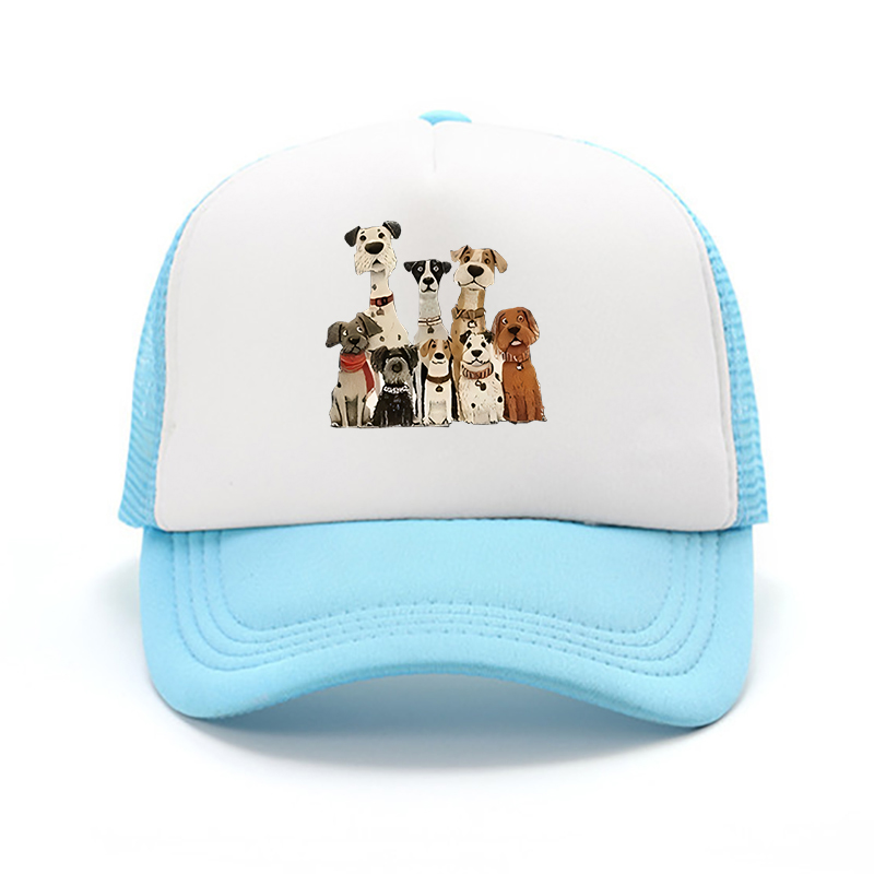 New Summer Streetwear Brand Do - Cap Streetwear Brand 评论和价格