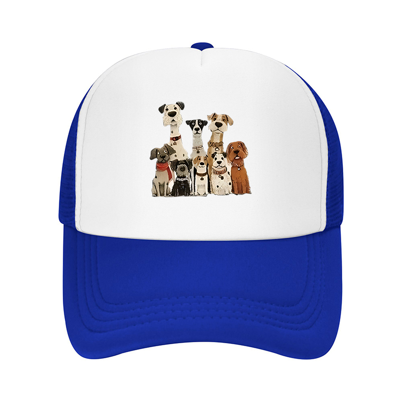 New Summer Streetwear Brand Do - Cap Streetwear Brand 评论和价格